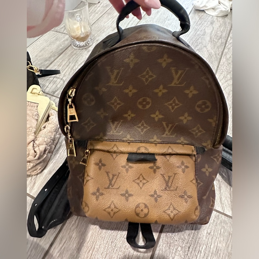 Louis Vuitton medium Palm Springs backpack